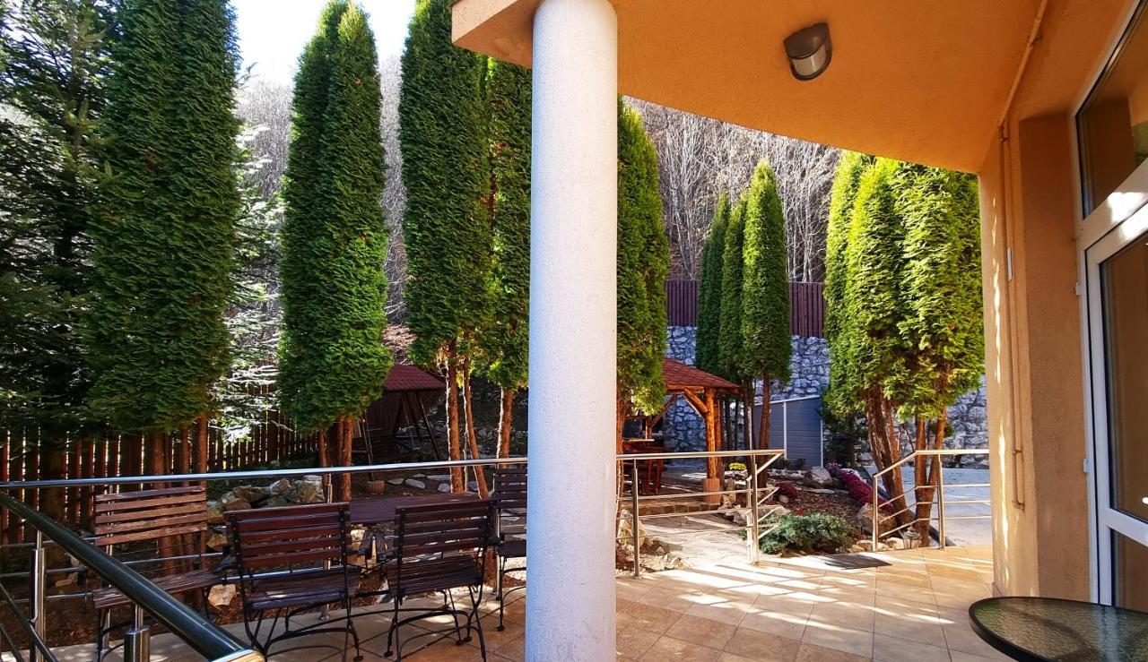 Marble Villa: Luxury Estate - Central But Intimate Sinaia Exterior foto